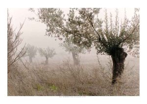 08 Vias secundarias A3