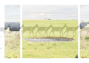 1 VIAS SECUNDARIAS A5-Velocidad #4 Gamo