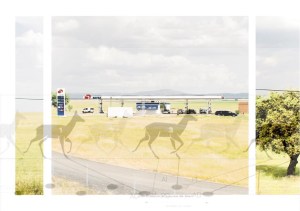 3 VIAS SECUNDARIAS A5-Velocidad #8MEDIO Gamo