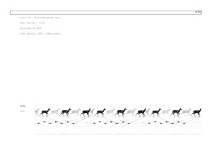7 Proyecto Velocidad máxima_Página_07