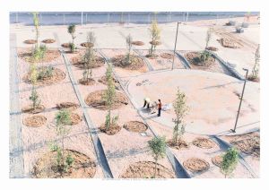 CJC_Islands & Ghettos_08