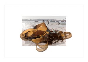 EN LA PLAYA Energias 5