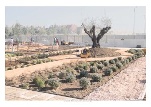 PAISAJISMO Centro Reina Sofía M-40 Km.10 #01