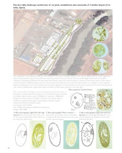 CjcpaisajeBook8x10 XS_Page_24