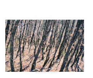 HumanParkCJC10x8(1)_Page_02_Page_38