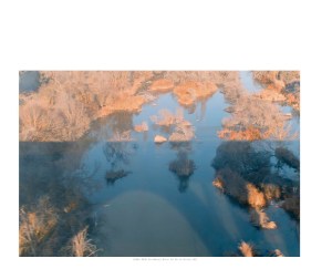 HumanParkCJC10x8(1)_Page_06