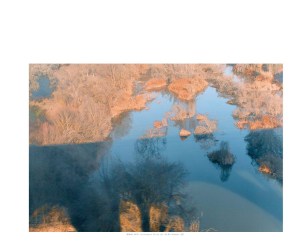 HumanParkCJC10x8(1)_Page_07