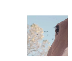 HumanParkCJC10x8(1)_Page_19