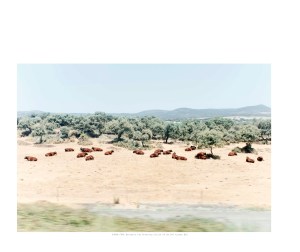 HumanParkCJC10x8(1)_Page_24