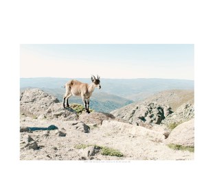 HumanParkCJC10x8(1)_Page_25