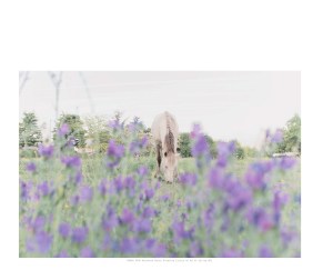 HumanParkCJC10x8(1)_Page_30