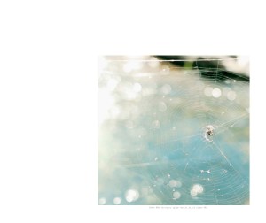 HumanParkCJC10x8(1)_Page_35