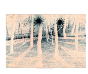 NightforDayCJC10x8(1) XS_Page_37